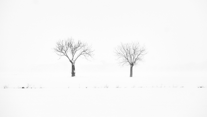 Clicca per l'immagine full size