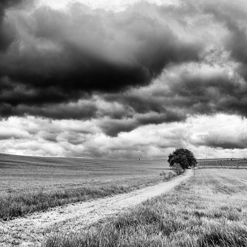 Clicca per l'immagine full size