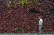 Nome File=Autumn.jpg
Dimensione File=352KB
Dimensioni=1000x652
Data aggiunta=Nov 18, 2011 Autumn.jpg