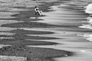 Bagnanti_solitari.jpg Bagnanti_solitari.jpg