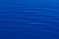 Nome File=Blu_micromosso.jpg
Dimensione File=242KB
Dimensioni=1000x664
Data aggiunta=Ago 26, 2009 Blu_micromosso.jpg
