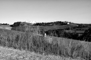 Nome File=Carlo_Bros.jpg
Dimensione File=372KB
Dimensioni=1000x664
Data aggiunta=Set 15, 2017 Carlo_Bros.jpg