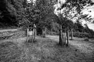 Nome File=Crescere_dritti.jpg
Dimensione File=392KB
Dimensioni=1000x664
Data aggiunta=Set 07, 2017 Crescere_dritti.jpg