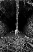 Nome File=Dall_alto_al_basso.jpg
Dimensione File=404KB
Dimensioni=766x1200
Data aggiunta=Mar 31, 2017 Dall_alto_al_basso.jpg