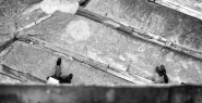 Nome File=Diverse_prospettive.jpg
Dimensione File=473KB
Dimensioni=1000x517
Data aggiunta=Mag 13, 2015 Diverse_prospettive.jpg