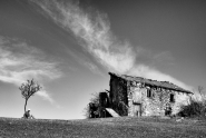 Nome File=Dreaming.jpg
Dimensione File=482KB
Dimensioni=1000x673
Data aggiunta=Mag 06, 2014 Dreaming.jpg