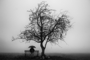 Nome File=Finite_le_foglie.jpg
Dimensione File=415KB
Dimensioni=1000x678
Data aggiunta=Ott 26, 2016 Finite_le_foglie.jpg