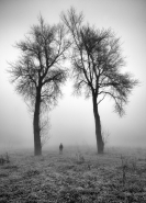 Nome File=Fratelli_nella_nebbia.jpg
Dimensione File=568KB
Dimensioni=722x1000
Data aggiunta=Dic 27, 2014 Fratelli_nella_nebbia.jpg