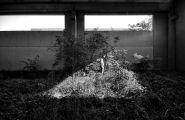 Nome File=Il_peso_dell_ombra.jpg
Dimensione File=351KB
Dimensioni=1200x779
Data aggiunta=Ago 08, 2018 Il_peso_dell_ombra.jpg
