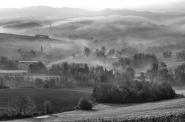 Nome File=Il_viaggio_degli_alberi.jpg
Dimensione File=324KB
Dimensioni=1200x797
Data aggiunta=Nov 13, 2017 Il_viaggio_degli_alberi.jpg