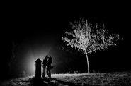 Nome File=L_albero_e_l_amore.jpg
Dimensione File=270KB
Dimensioni=1000x664
Data aggiunta=Dic 19, 2011 L_albero_e_l_amore.jpg