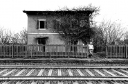Nome File=Lunghe_attese.jpg
Dimensione File=570KB
Dimensioni=1000x657
Data aggiunta=Dic 12, 2014 Lunghe_attese.jpg