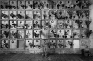 Nome File=Old_Flowers.jpg
Dimensione File=340KB
Dimensioni=1000x656
Data aggiunta=Ott 29, 2017 Old_Flowers.jpg