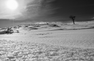 Nome File=Praglia_BW.jpg
Dimensione File=318KB
Dimensioni=1000x664
Data aggiunta=Feb 11, 2011 Praglia_BW.jpg