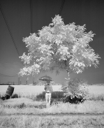 Nome File=Prevedere.jpg
Dimensione File=378KB
Dimensioni=813x1000
Data aggiunta=Mag 28, 2018 Prevedere.jpg