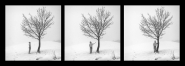 Nome File=mmScusa_posso_abbracciarti_DSC-1600_trittico.jpg
Dimensione File=192KB
Dimensioni=1000x360
Data aggiunta=Gen 13, 2021 mmScusa_posso_abbracciarti_DSC-1600_trittico.jpg