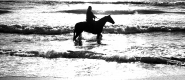 Nome File=_FIL1989_Cavallo_e_cavaliere_mariniMODELLO_.jpg
Dimensione File=256KB
Dimensioni=800x346
Data aggiunta=Ago 06, 2011 _FIL1989_Cavallo_e_cavaliere_mariniMODELLO_.jpg