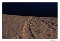 Nome File=Walking_on_the_Moon.jpg
Dimensione File=309KB
Dimensioni=800x554
Data aggiunta=Feb 21, 2009 Walking_on_the_Moon.jpg