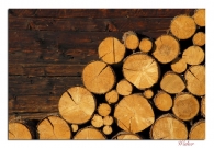 Nome File=wood_and_firewood_rid.jpg
Dimensione File=385KB
Dimensioni=779x542
Data aggiunta=Nov 17, 2008 wood_and_firewood_rid.jpg