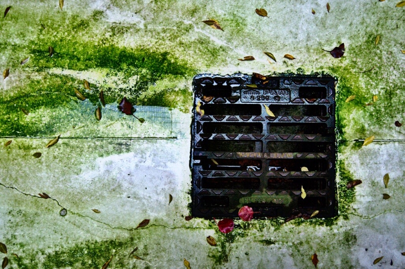 Clicca per l'immagine full size