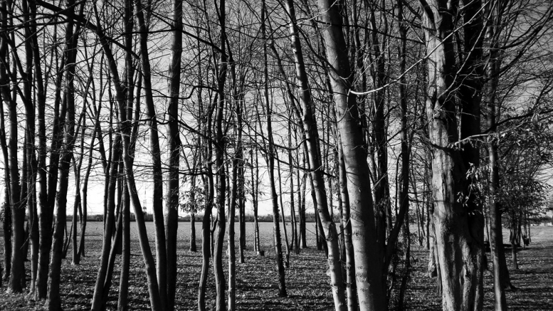Clicca per l'immagine full size