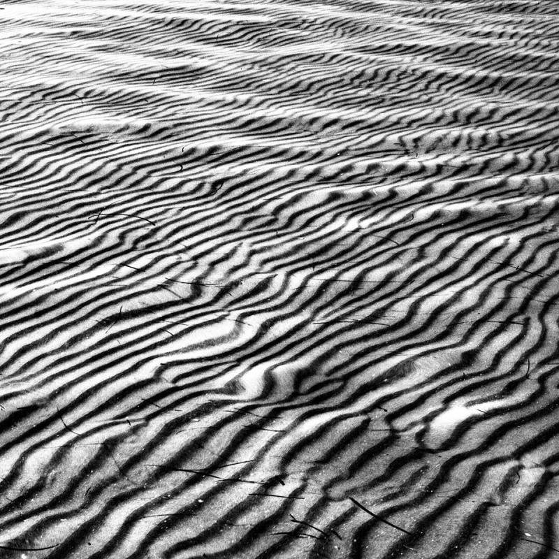 Clicca per l'immagine full size