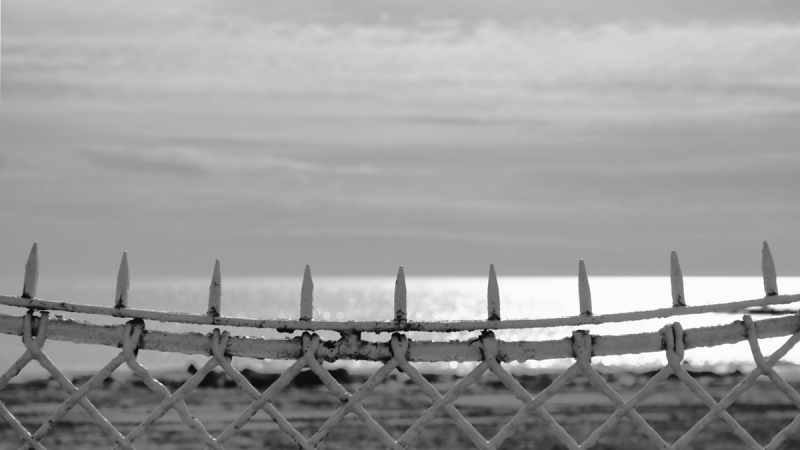 Clicca per l'immagine full size