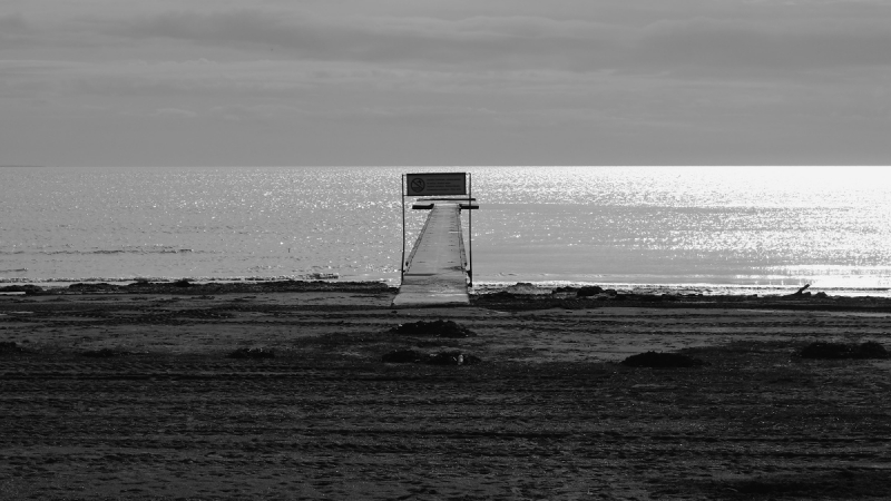 Clicca per l'immagine full size