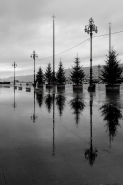 Nome File=Alberi_-_20191113_130928_2_1200px.jpg
Dimensione File=164KB
Dimensioni=800x1200
Data aggiunta=Ott 16, 2022 Alberi_-_20191113_130928_2_1200px.jpg