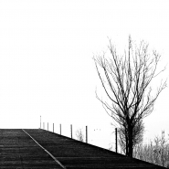 Astratto_con_trapezio_e_albero_-_DSC_8625_vsmall.jpg Astratto_con_trapezio_e_albero_-_DSC_8625_vsmall.jpg