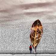 Nome File=Astratto_toscano_-_DSC_1295_bis_vsmall.jpg
Dimensione File=348KB
Dimensioni=1024x1024
Data aggiunta=Feb 26, 2016 Astratto_toscano_-_DSC_1295_bis_vsmall.jpg