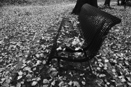 Nome File=Autunno_-_DSC_7681_1200px.jpg
Dimensione File=424KB
Dimensioni=1200x800
Data aggiunta=Nov 20, 2022 Autunno_-_DSC_7681_1200px.jpg