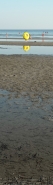 Nome File=Bookmark_-_IMG_20230821_182912_1200px.jpg
Dimensione File=183KB
Dimensioni=344x1200
Data aggiunta=Ago 29, 2023 Bookmark_-_IMG_20230821_182912_1200px.jpg