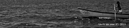 Nome File=Bookmark_2_-_Batela_BW_-_DSC_3607_vsmall.jpg
Dimensione File=97KB
Dimensioni=1024x228
Data aggiunta=Giu 18, 2013 Bookmark_2_-_Batela_BW_-_DSC_3607_vsmall.jpg