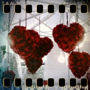Nome File=Happy_Valentine_-_shot_1322399405790_1024px.jpg
Dimensione File=247KB
Dimensioni=1024x1024
Data aggiunta=Feb 14, 2023 Happy_Valentine_-_shot_1322399405790_1024px.jpg