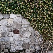 Nome File=Ivy_Details_-_DSC_2668_DxO_vsmall.jpg
Dimensione File=409KB
Dimensioni=1024x1024
Data aggiunta=Gen 12, 2017 Ivy_Details_-_DSC_2668_DxO_vsmall.jpg