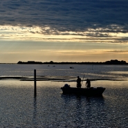 Laguna_-_DSC_6750_vsmall.jpg