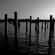 Naked_forest_-_DSC_5436_vsmall.jpg Naked_forest_-_DSC_5436_vsmall.jpg