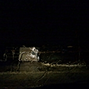 Pioggia_-_17012014469_vsmall.jpg