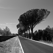 Nome File=Profumo_di_mare_-_DSC_6438_vsmall.jpg
Dimensione File=308KB
Dimensioni=1024x1024
Data aggiunta=Giu 30, 2014 Profumo_di_mare_-_DSC_6438_vsmall.jpg