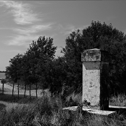 Nome File=Profumo_di_mare_-_DSC_6440_vsmall.jpg
Dimensione File=367KB
Dimensioni=1024x1024
Data aggiunta=Lug 04, 2014 Profumo_di_mare_-_DSC_6440_vsmall.jpg