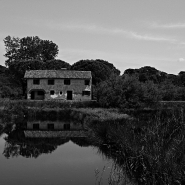 Nome File=Profumo_di_mare_-_DSC_6446_vsmall.jpg
Dimensione File=300KB
Dimensioni=1024x1024
Data aggiunta=Lug 06, 2014 Profumo_di_mare_-_DSC_6446_vsmall.jpg