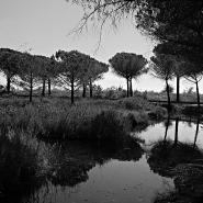 Nome File=Profumo_di_mare_-_DSC_6448_vsamll.jpg
Dimensione File=356KB
Dimensioni=1024x1024
Data aggiunta=Lug 07, 2014 Profumo_di_mare_-_DSC_6448_vsamll.jpg