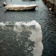 Nome File=Snowy_day.jpg
Dimensione File=148KB
Dimensioni=960x960
Data aggiunta=Gen 23, 2019 Snowy_day.jpg