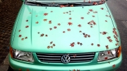 Nome File=Star_spangled_car_-_20171107_132505_1200px.jpg
Dimensione File=331KB
Dimensioni=1200x676
Data aggiunta=Nov 10, 2017 Star_spangled_car_-_20171107_132505_1200px.jpg