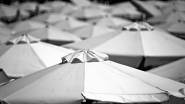 Nome File=Umbrellas_-_DSC_4425_DxO_1200px.jpg
Dimensione File=140KB
Dimensioni=1200x675
Data aggiunta=Set 06, 2018 Umbrellas_-_DSC_4425_DxO_1200px.jpg