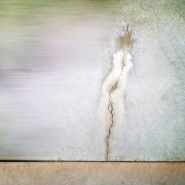 Nome File=Wind_and_wuthering_-_140420161293_vsmall.jpg
Dimensione File=219KB
Dimensioni=1024x1024
Data aggiunta=Apr 14, 2016 Wind_and_wuthering_-_140420161293_vsmall.jpg