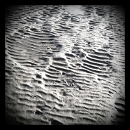 Nome File=sand_and_bones_-_shot_1346602936824_vsmall.jpg
Dimensione File=420KB
Dimensioni=1024x1024
Data aggiunta=Ott 13, 2012 sand_and_bones_-_shot_1346602936824_vsmall.jpg
