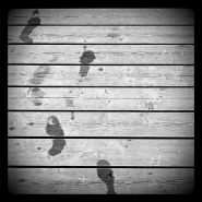Nome File=walkin_in_your_footsteps_-_shot_1343844600838_vsmall.jpg
Dimensione File=369KB
Dimensioni=1024x1024
Data aggiunta=Ago 07, 2012 walkin_in_your_footsteps_-_shot_1343844600838_vsmall.jpg