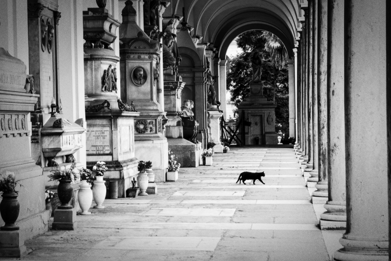 Clicca per l'immagine full size
